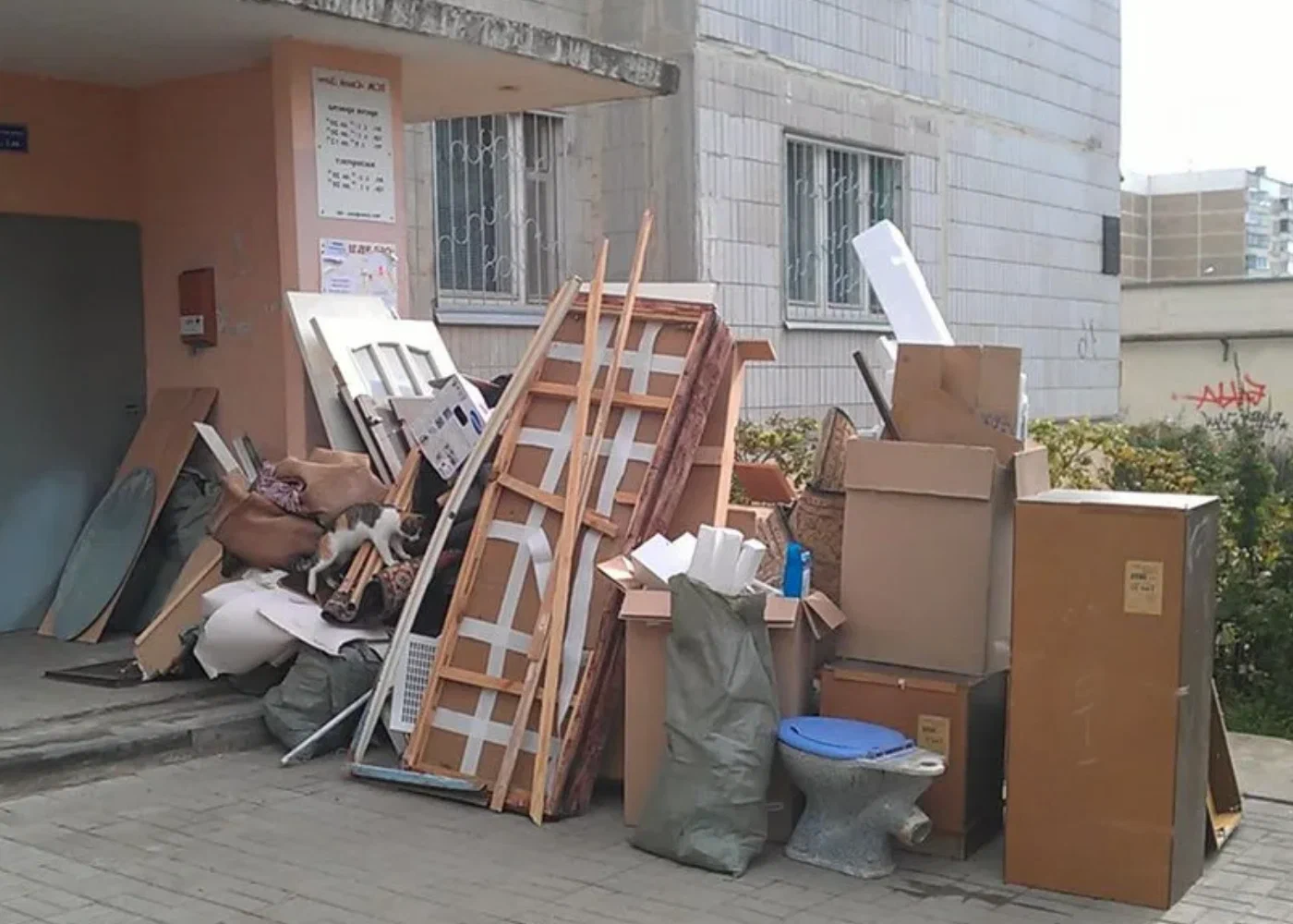 Профессиональный вывоз мусора из квартиры в Камне-на-Оби в октябре