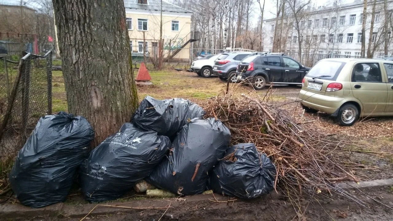 Вывоз мусора после субботника в Камне-на-Оби от ПроМусор – уборка и утилизация отходов от 2385 руб