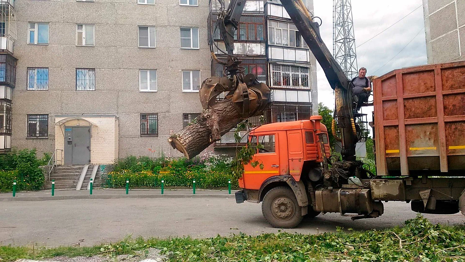 Вывоз спиленных веток и деревьев в Камне-на-Оби от ПроМусор: порубочные остатки, утилизация, цена от 2944 руб