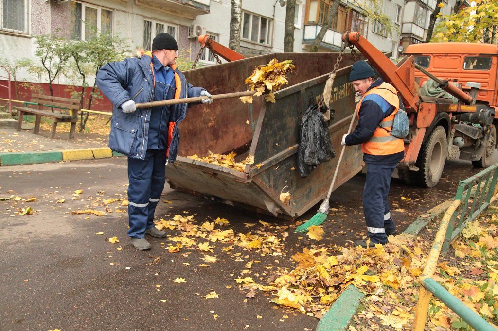 Вывоз опавшей листвы и растительного мусора в Камне-на-Оби от ПроМусор – цена от 4568 руб., быстрая уборка и утилизация